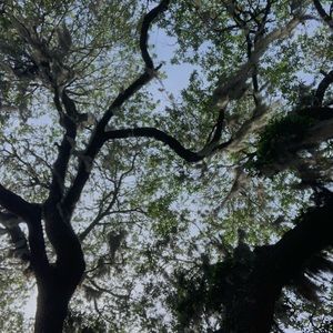 Meet your Posher, Harmony